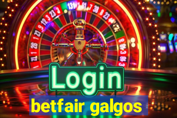 betfair galgos